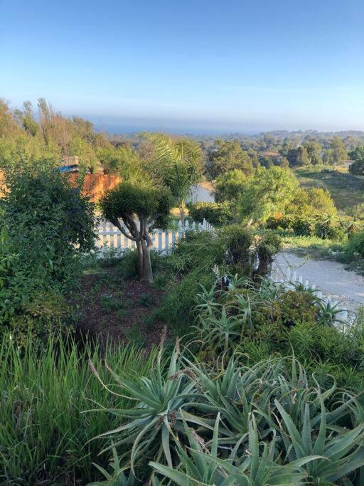 30 Pct Off!! Limited Time! Malibu Charming Getaway With King Bed, Near Beach Extérieur photo